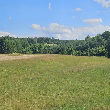 Domek Dotyk Rosy Na Kaszubach Pomlewo Exterior foto