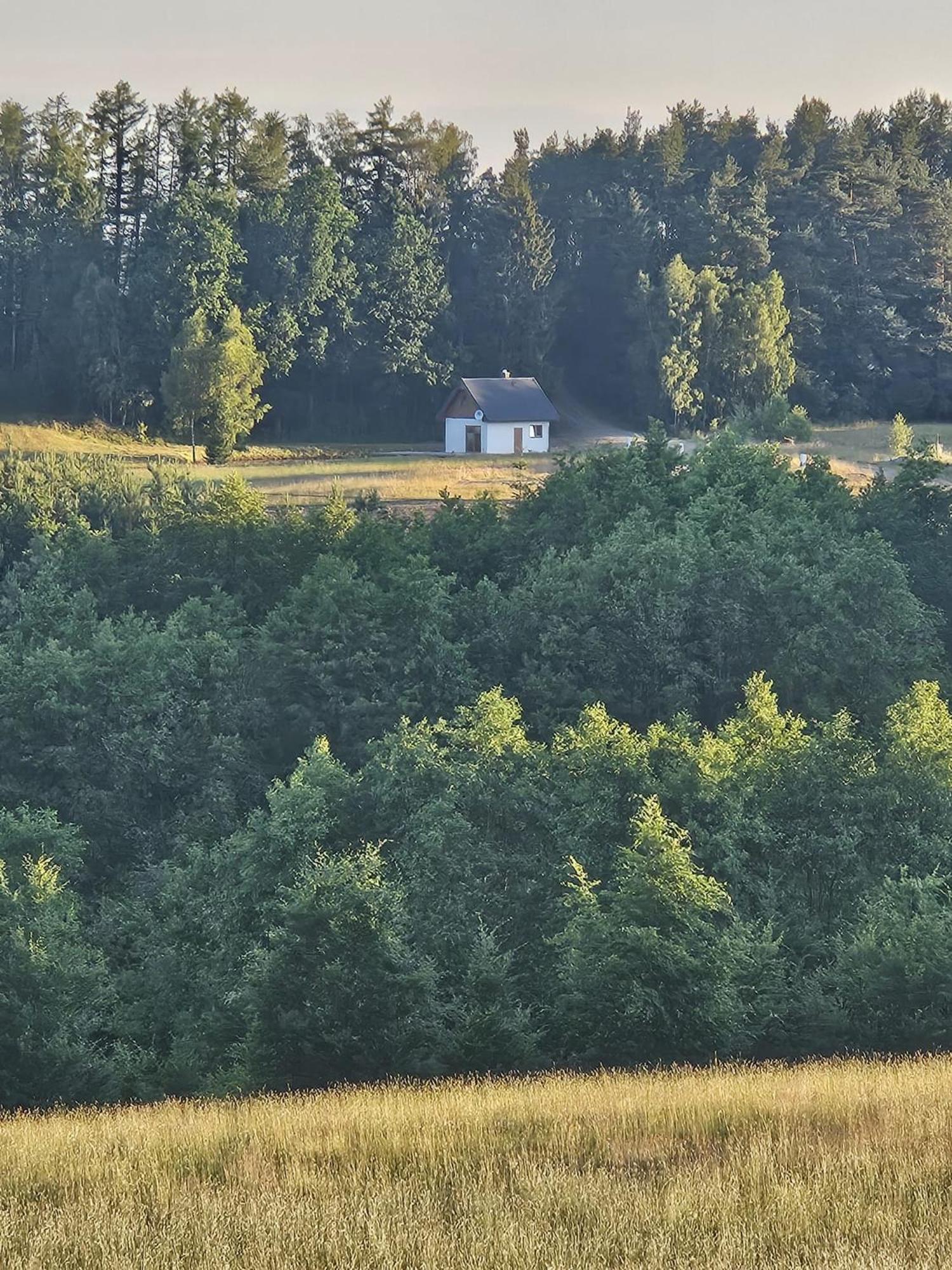 Holiday home Dotyk Rosy Na Kaszubach